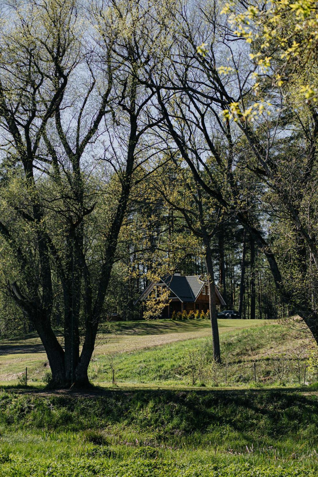 "Gaujmale" Sauna House In Nature Laukbeitini Exterior foto